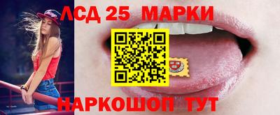 гашик Малоярославец